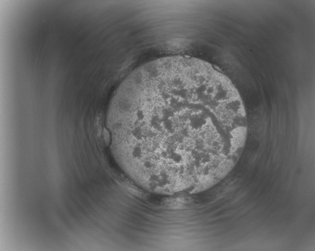 X0000067470131200604281904