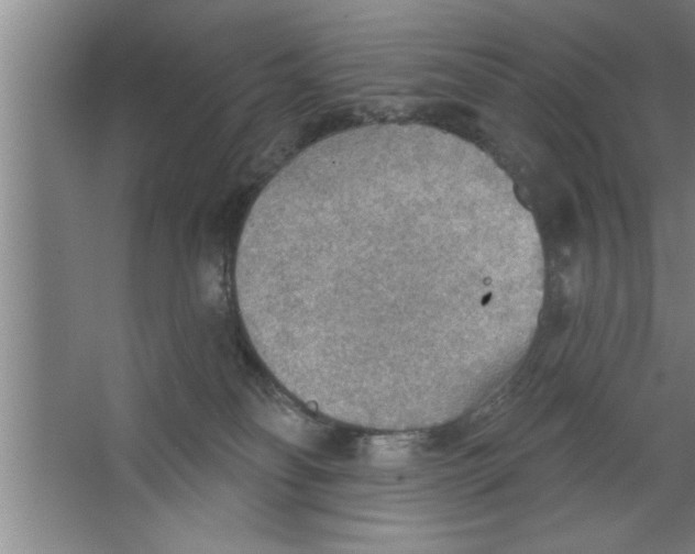 X0000067470134200604281904