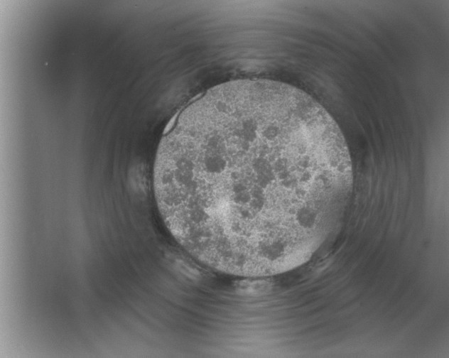 X0000067470135200604281904