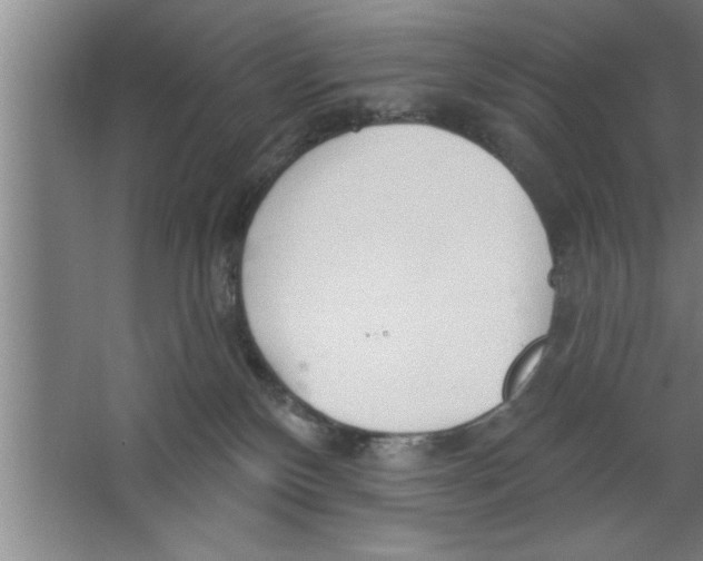 X0000067470136200604281904