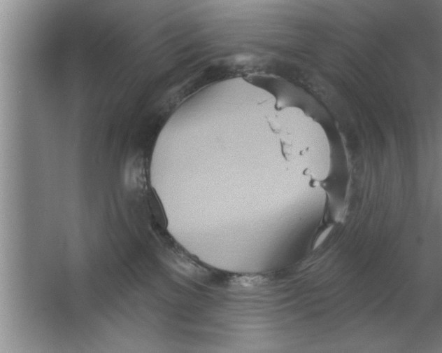 X0000067470137200604281904