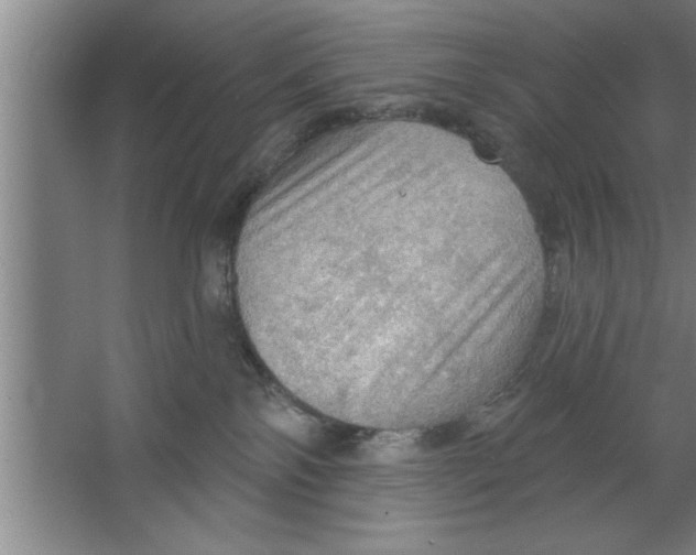 X0000067470138200604281904