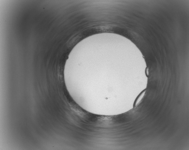 X0000067470140200604281904