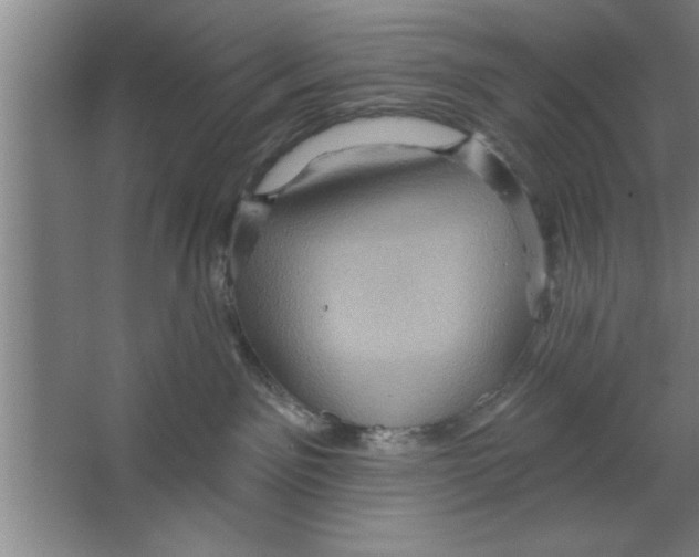 X0000067470141200604281904