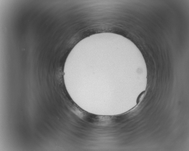 X0000067470144200604281904