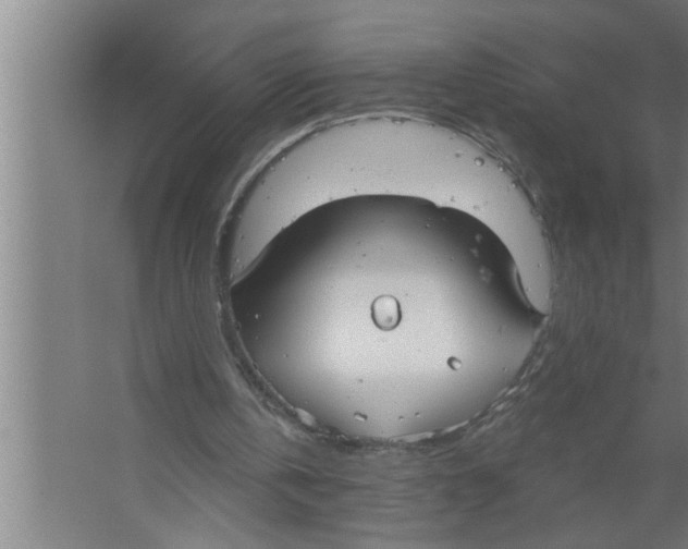 X0000067470146200604281903