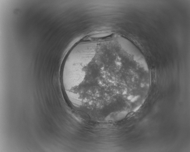 X0000067470147200604281903