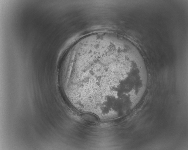 X0000067470149200604281903