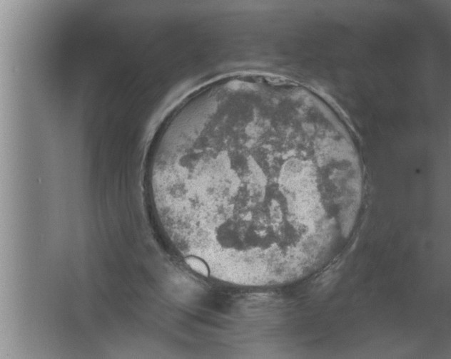 X0000067470151200604281903