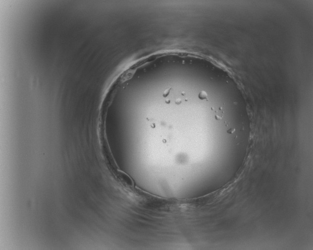 X0000067470152200604281903