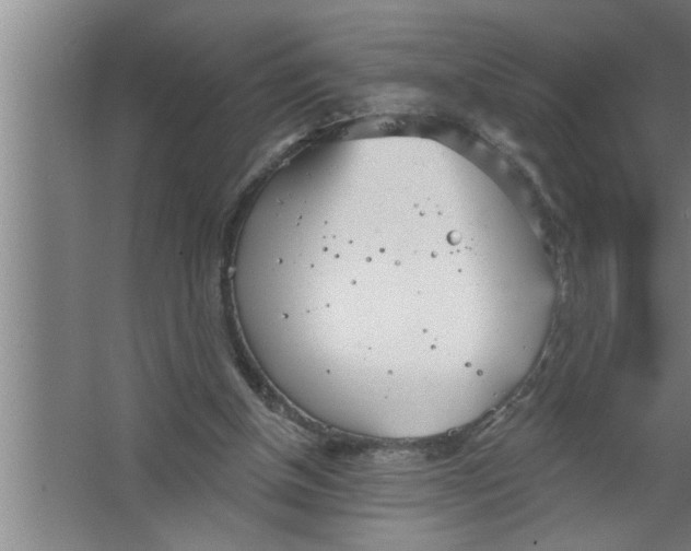 X0000067470154200604281903