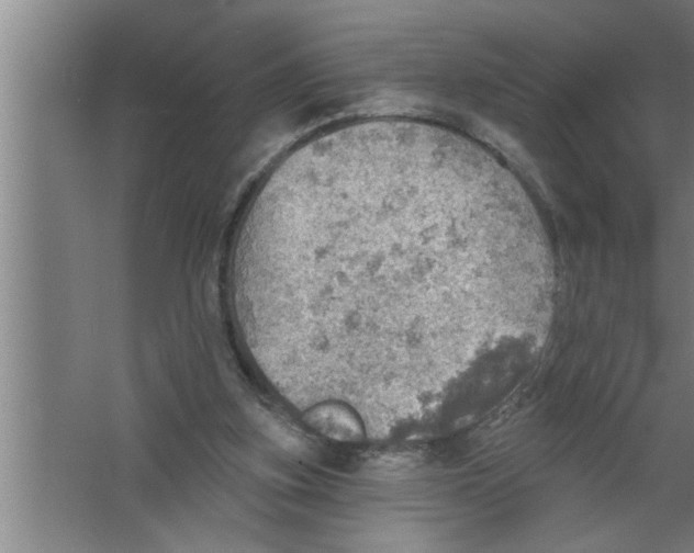 X0000067470155200604281903