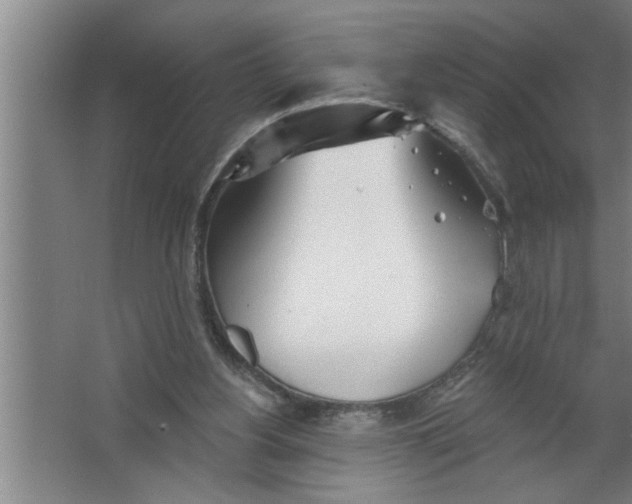 X0000067470156200604281903