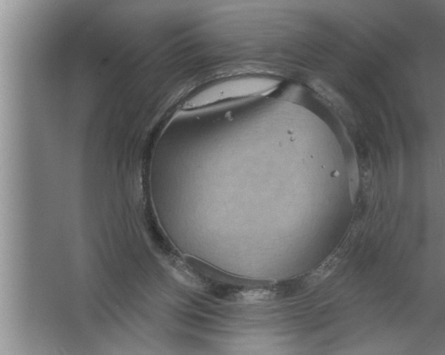 X0000067470158200604281903