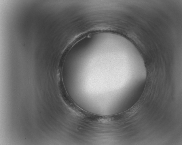 X0000067470160200604281903