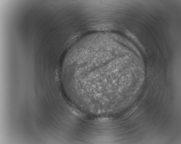 X0000067470161200604281903