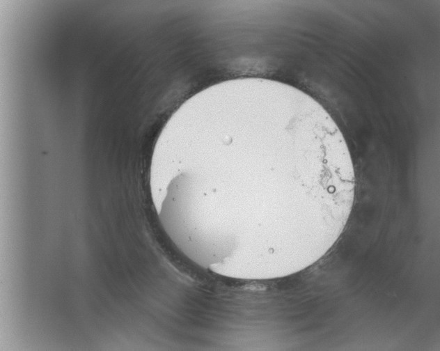 X0000067470162200604281903