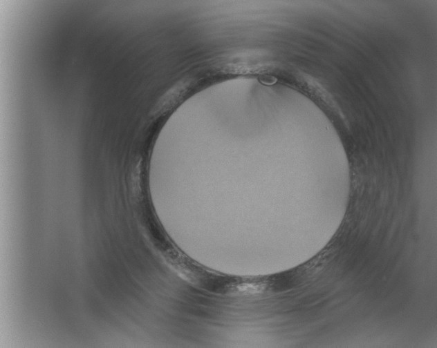 X0000067470163200604281903