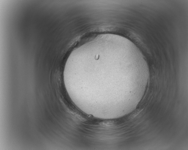 X0000067470164200604281903