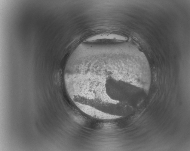 X0000067470165200604281903