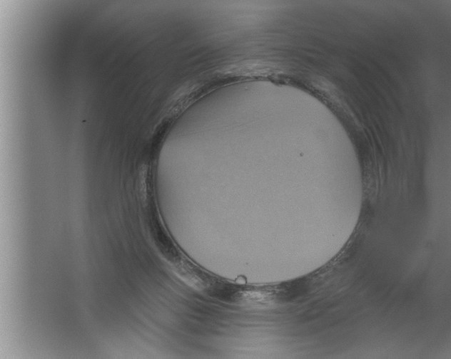 X0000067470167200604281903