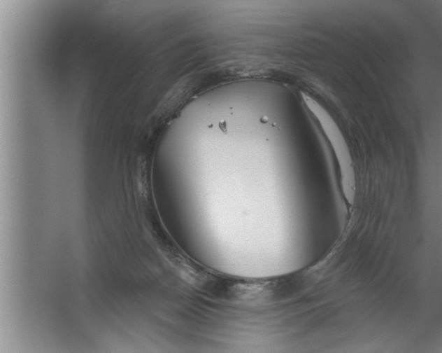 X0000067470170200604281903