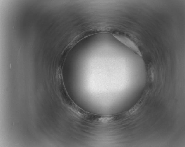 X0000067470172200604281903