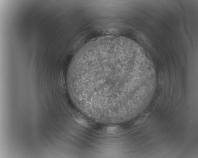 X0000067470173200604281903