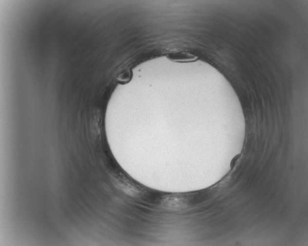 X0000067470174200604281903