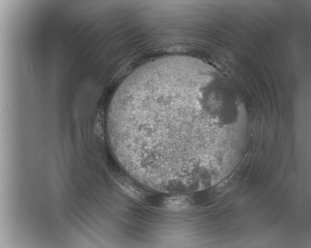 X0000067470175200604281903