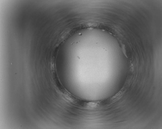 X0000067470176200604281903