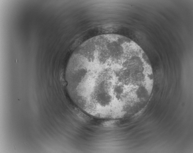 X0000067470178200604281903