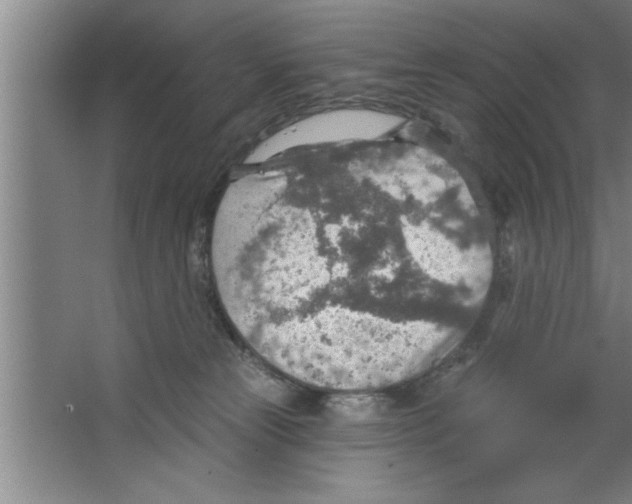 X0000067470181200604281903