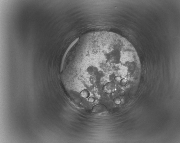 X0000067470185200604281904