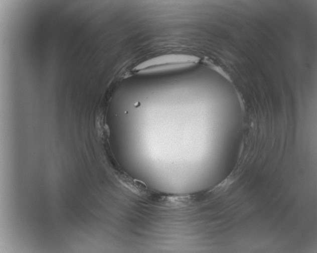 X0000067470188200604281904