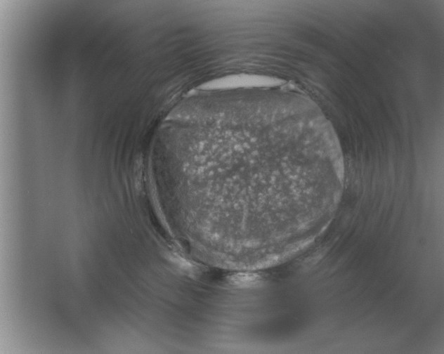 X0000067470189200604281904