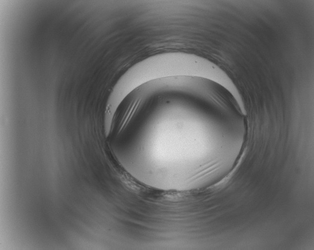 X0000067470190200604281904