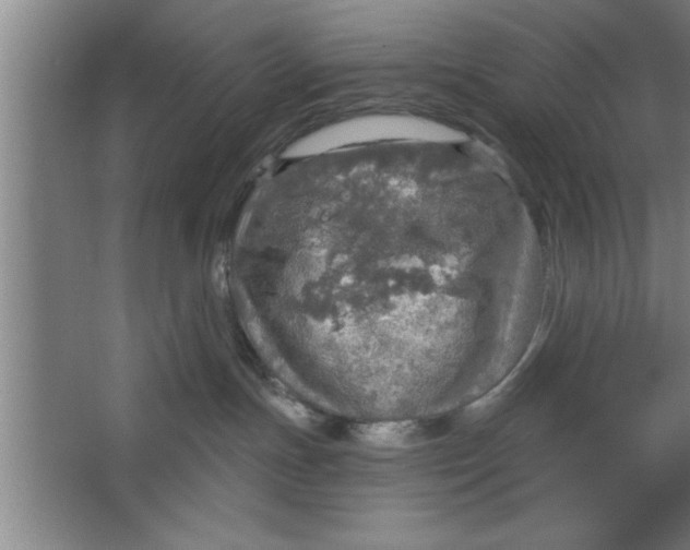 X0000067470191200604281904