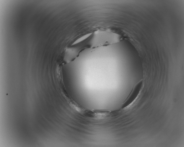 X0000067470192200604281904