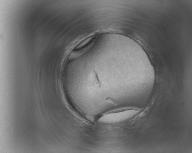 X0000067470193200604281903