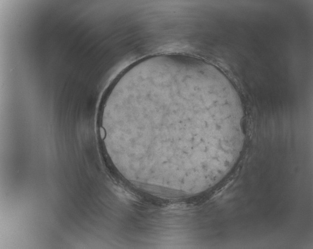 X0000067470196200604281903