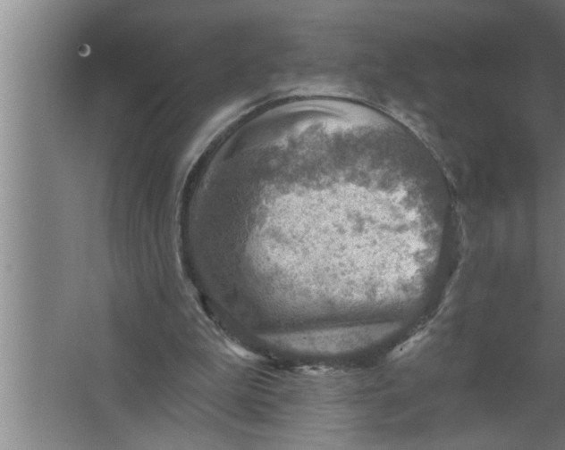 X0000067470199200604281903