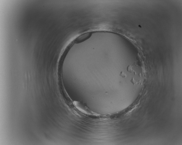 X0000067470200200604281903