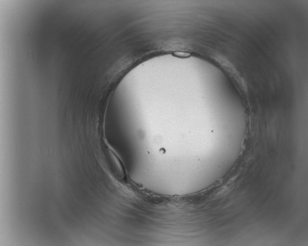 X0000067470201200604281903