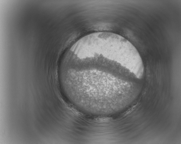 X0000067470202200604281903