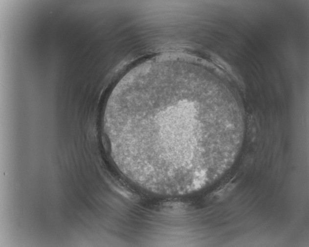 X0000067470203200604281903