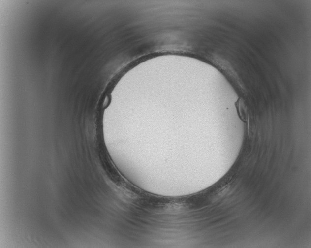 X0000067470204200604281903