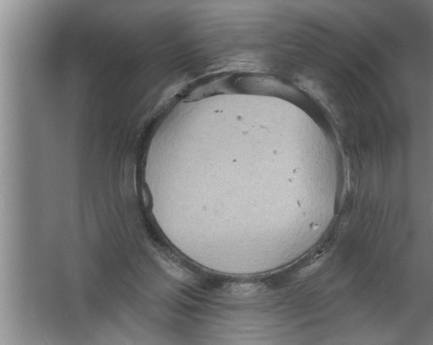 X0000067470205200604281903