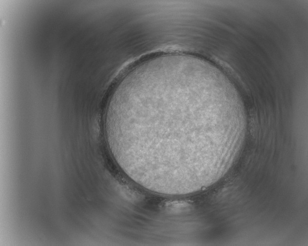 X0000067470208200604281903