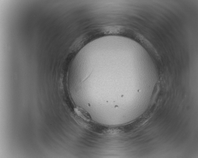 X0000067470209200604281903